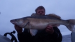Pelle 9,4kg 91cm