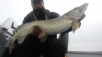 Totte_Wesslen_2016_Pike_105_7400