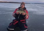 Rickard_Eckebring_2017_Perch_42_960_new_03