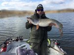 Ted_Rosengard_2017_Pike_00_8660