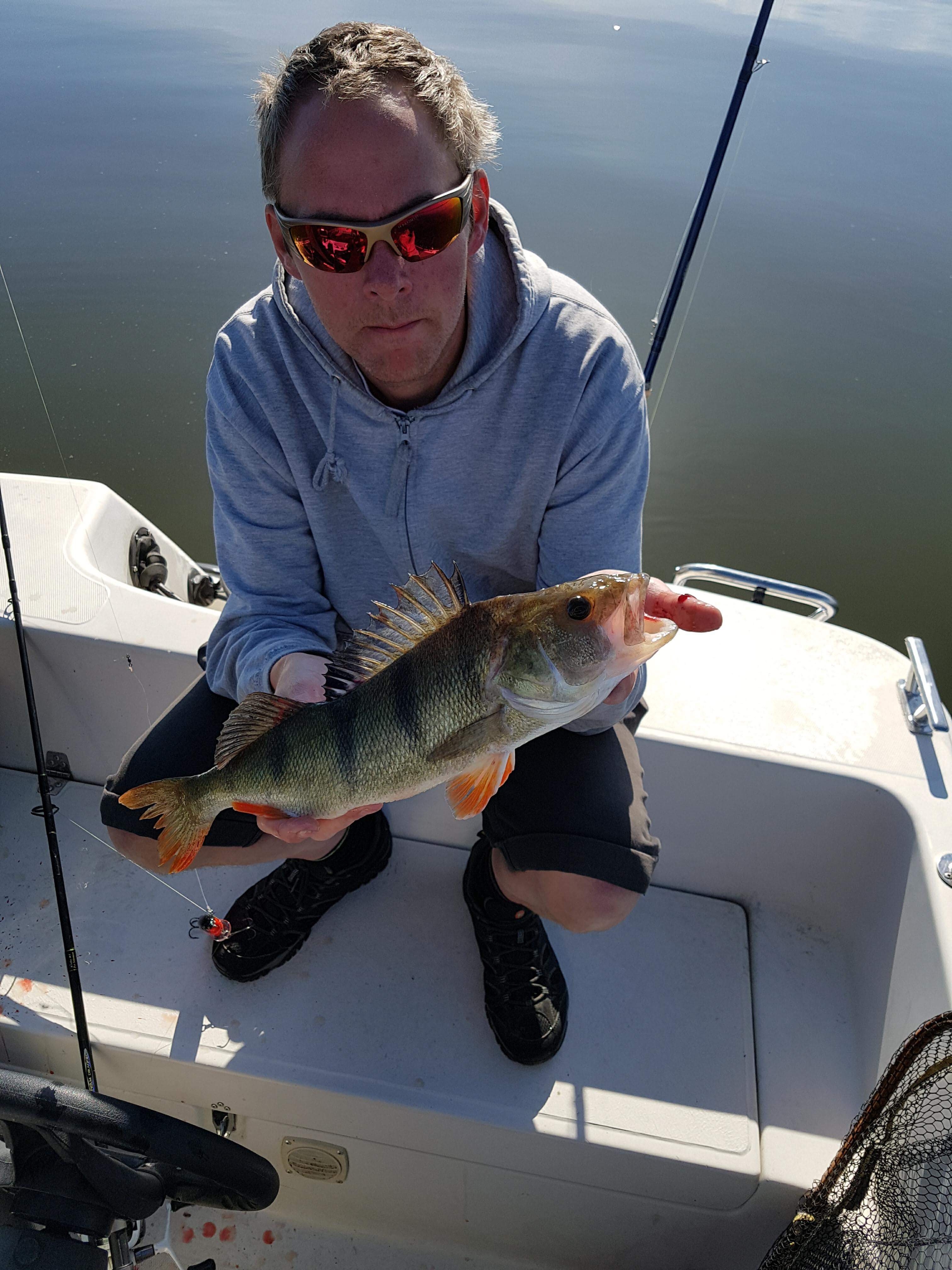 Daniel_Granholm_2018_Perch_42_1200