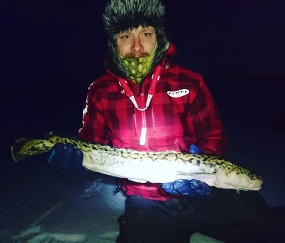 Daniel_Hagelin_2018_Burbot_70_1590