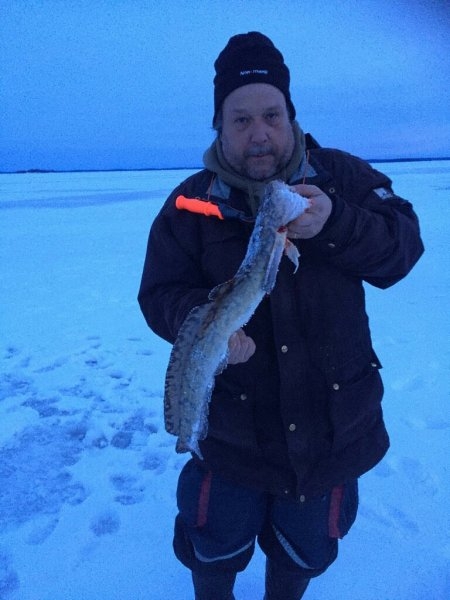 Tommy_Petersen_2018_Burbot_00_2160