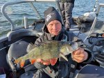 Jussi_Rosvall_2019_Perch_45_1130_01