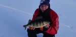 Mikael_Haraldsson_2019_Perch_45_1130_01