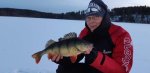 Mikael_Haraldsson_2019_Perch_46_1280_01