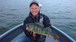 Jussi_Rosvall__2018_Perch_43_970
