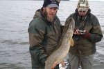 Henrik_Ostman_2015_Pike_102_10220.JPG