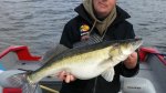 Pelle_Johansson_2015_Zander_6300_74.JPG