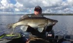 Thomas_Andersson_2015_Zander_7370_91.jpg
