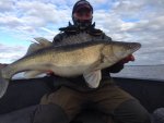 Thomas_Andersson_2015_Zander_7700_90.jpg