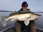 Thomas_Andersson_2015_Zander_9560_95.jpg