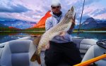 Daniel_Granholm_2016_Pike_109_10200