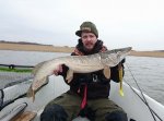 Daniel_Hagelin_2016_Pike_98_6480