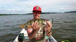 Daniel_hagelin_2016_Perch_40_790
