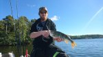Gustav_Stiberg_2016_Perch_43_950