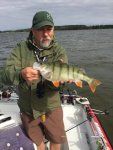 Hans_Ted_Rosengard_2016_Perch_40_1000