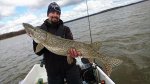Niklas_Andersson_2016_Pike_103_7900