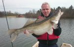 Peder_Sjögren_2016_Zander_00_7430