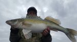 Thomas_Andersson_2016_Zander_79_5850