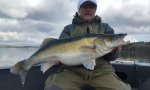 Thomas_Andersson_2016_Zander_80_6610