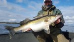 Thomas_Andersson_2016_Zander_82_6050