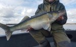 Thomas_Andersson_2016_Zander_83_6000