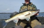 Thomas_Andersson_2016_Zander_85_6439