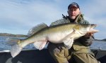 Thomas_Andersson_2016_Zander_86_6950