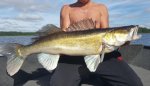 Thomas_Andersson_2016_Zander_90_6540