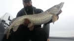 Totte_Wesslen_2016_Pike_105_7400