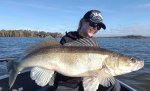 Cecilia_Gronberg_2018_Zander_90_7500