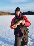 Mikael_Haraldsson_2018_Perch_40_700