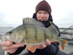 Samin_Saarinen_2018_Perch_46_1340