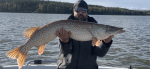Andreas_Eriksson_2020_Pike_107_9548_01