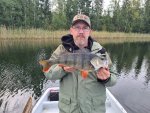 Daniel_Persson_2020_Perch_46_1340