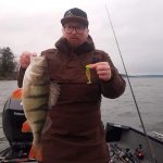 Fredrik_Dalersjo_2020_Perch_48_1470_01