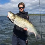 Samuel_Svedberg_2020_Asp_78_4300_01