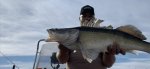 Andreas_Eriksson_2021_Zander_90_6890_01