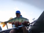 David_Svedberg_2021_Perch_43_01