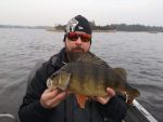 Thomas_Karlsen_2021_Perch_46_1710_01